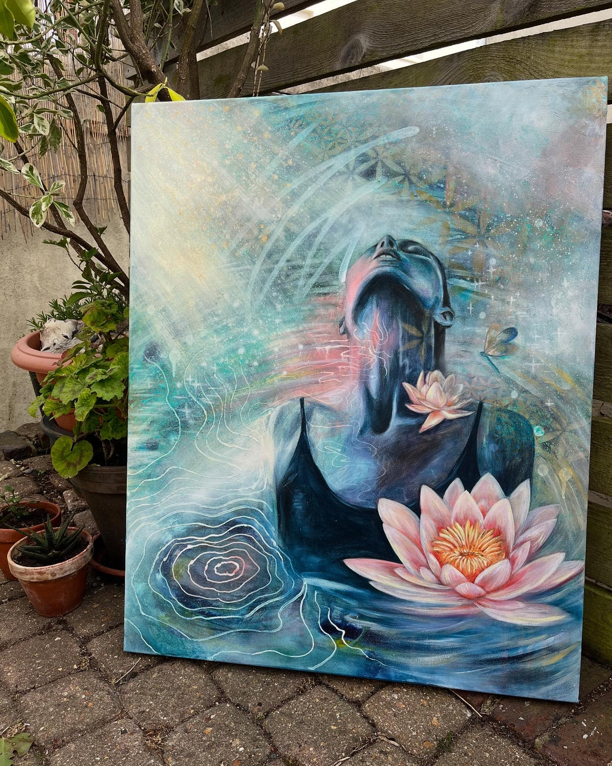 Lotus Rising